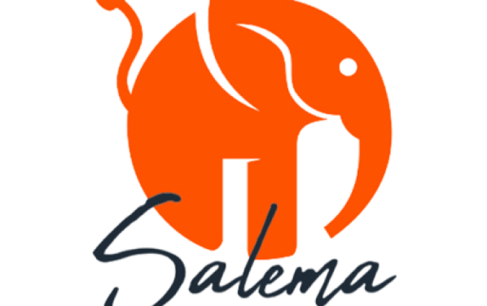 cropped-salema-logo.png