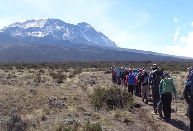 kilimanjaro master