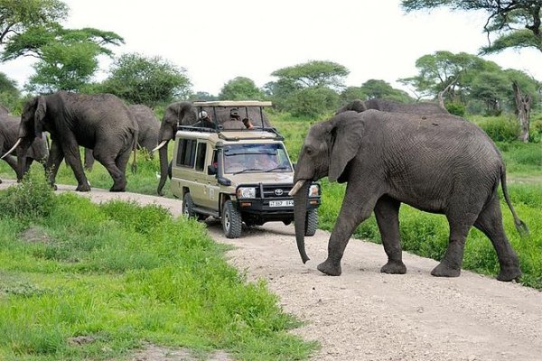 tarangire tanzania